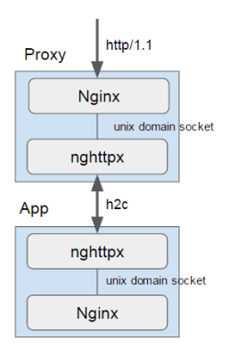 nginx-and-nghttpx