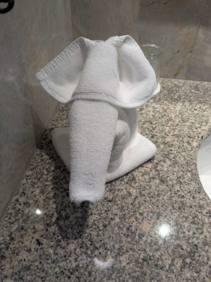 宿泊先では洗面台のタオルを象の形にアレンジしてくれており、タイを感じました。
